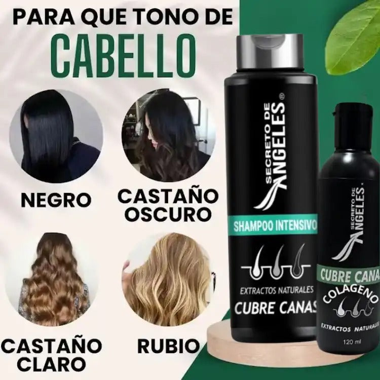 SHAMPOO CUBRE CANAS SECRETO DE ANGELES™-50% selec