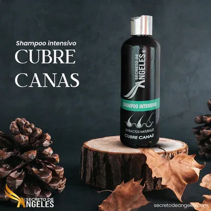 SHAMPOO CUBRE CANAS SECRETO DE ANGELES™-50% selec